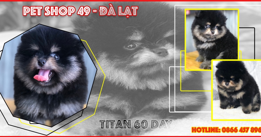 TITAN